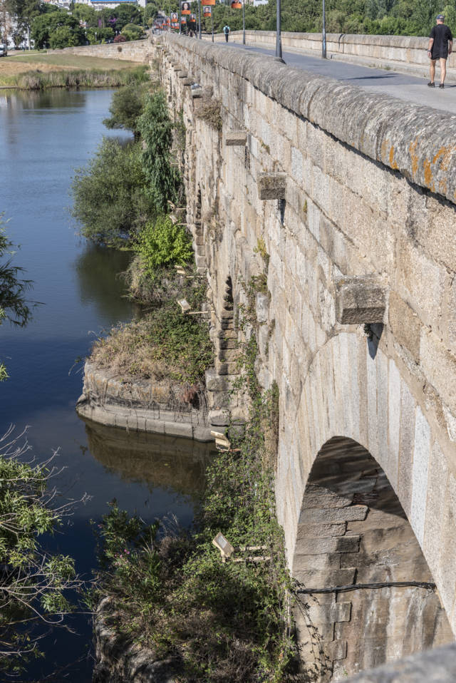 Badajoz - Mérida 062 - Puente Romano.jpg